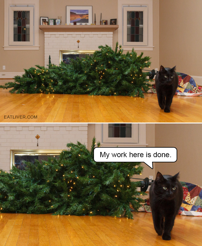 Nothing to see here. Just another cat vs. Christmas tree fight.