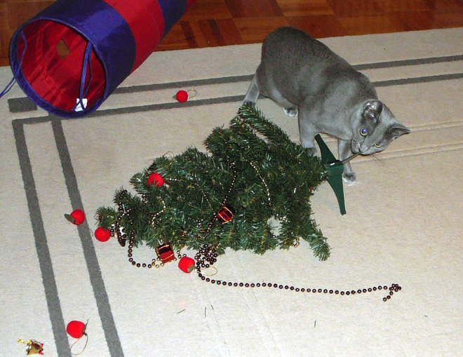 Nothing to see here. Just another cat vs. Christmas tree fight.