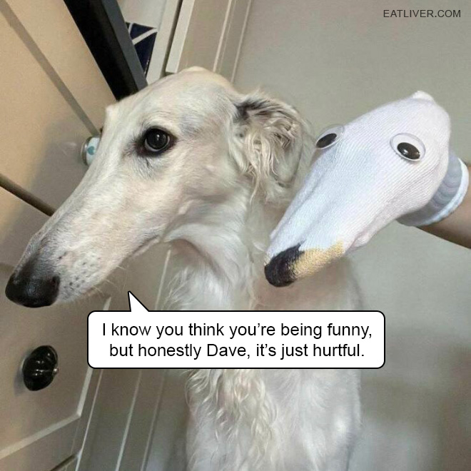 I know you think you're being funny, but honestly Dave, it's just hurtful.