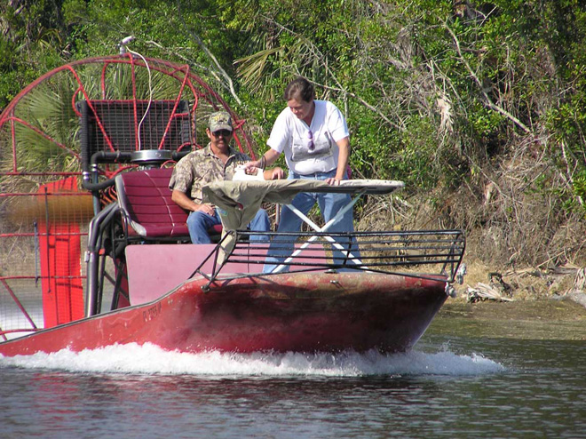 Extreme ironing.