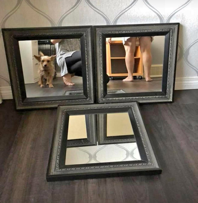 People selling mirrors online are hilarious.