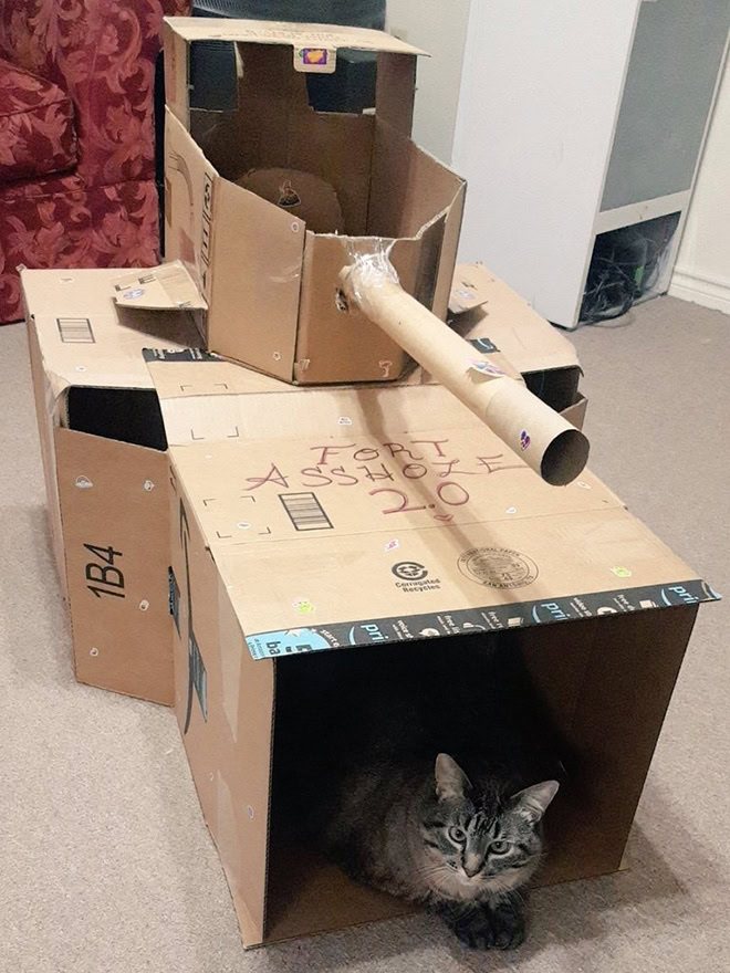 Fort a-hole.