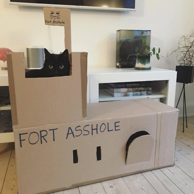 Fort a-hole.