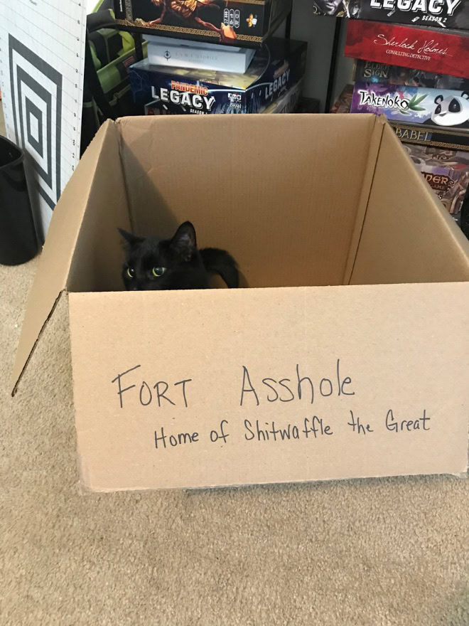 Fort a-hole.