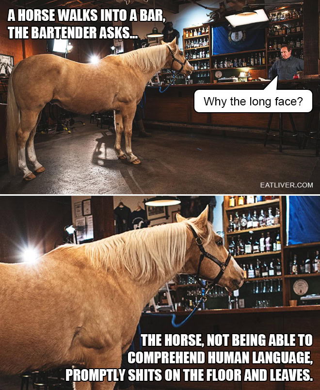 A horse walks into a bar, the bartender asks... Why the long face? The horse, not being able to comprehend human language, promptly shits on the floor and leaves.