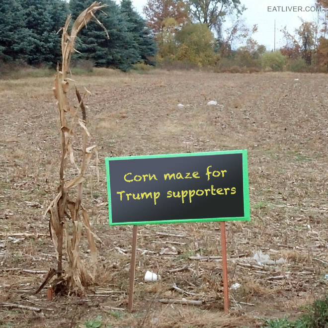 Corn maze for MAGA fans.